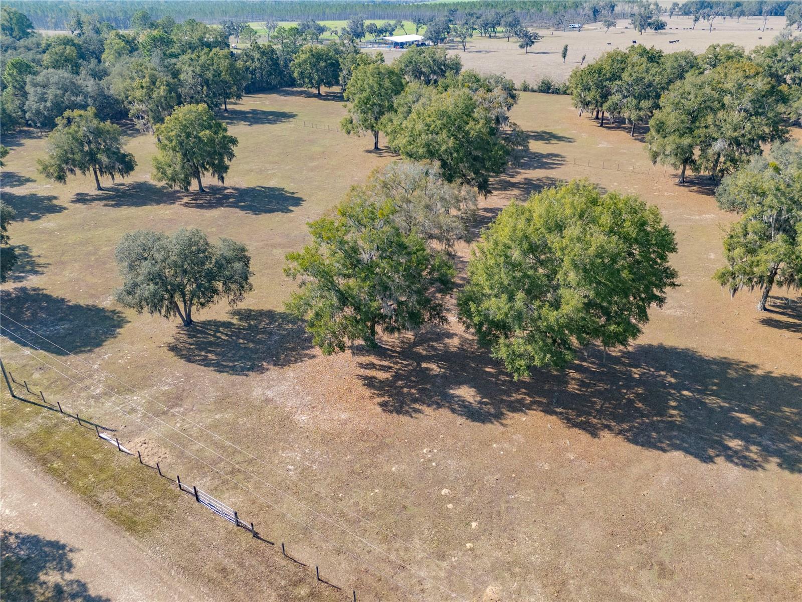 BAHIA FARMS - Residential