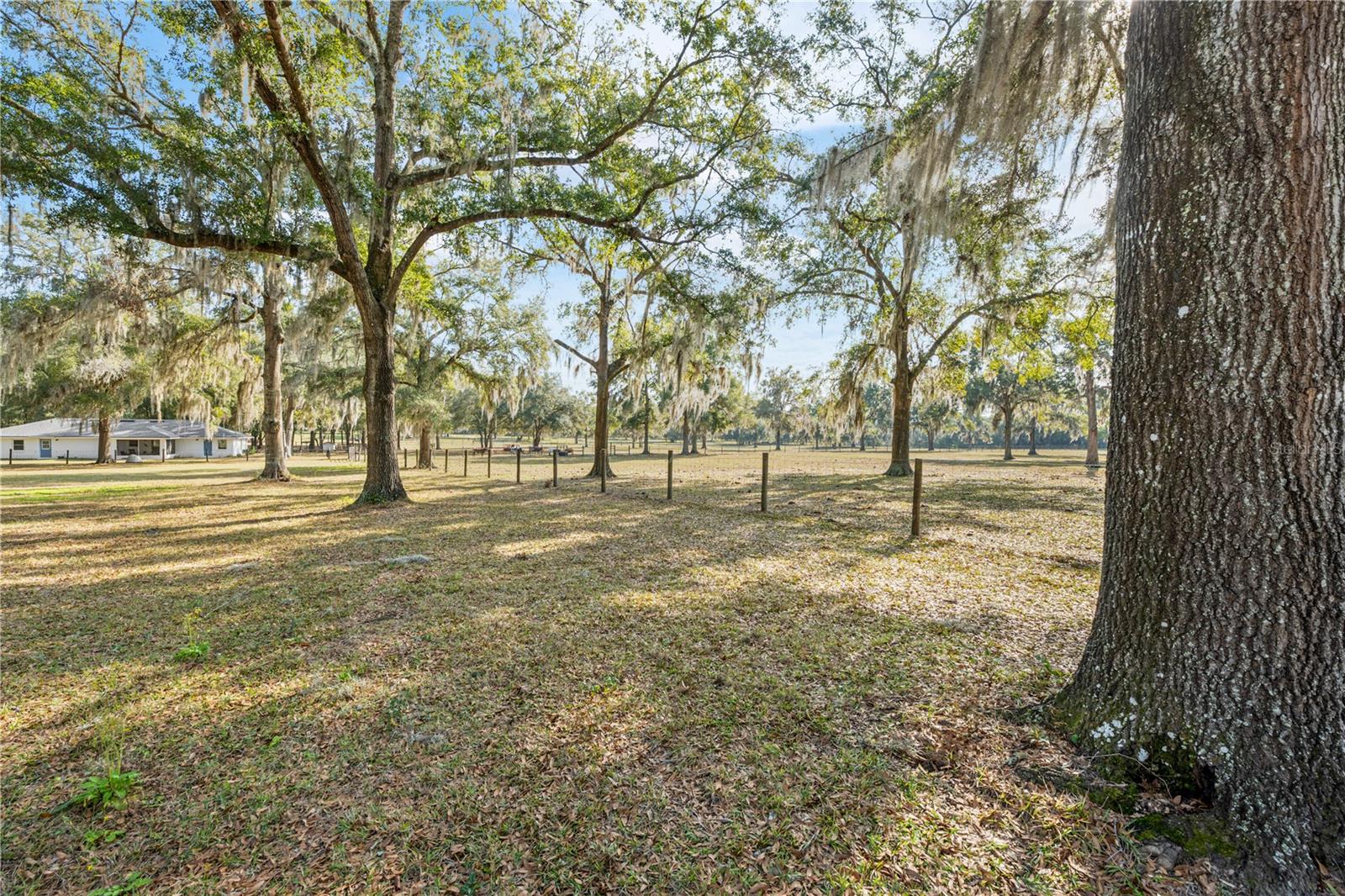 BAHIA FARMS - Residential