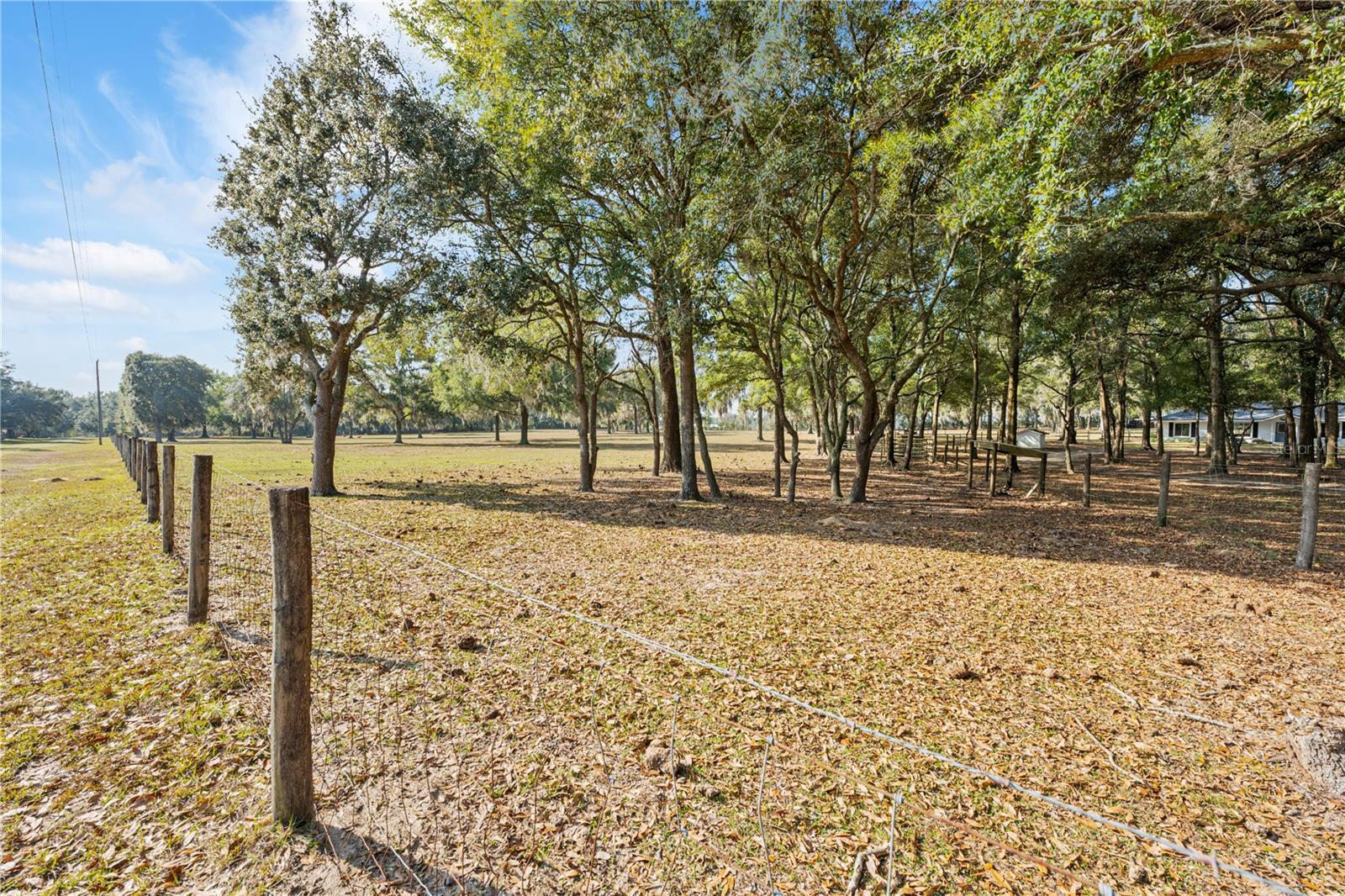 BAHIA FARMS - Residential