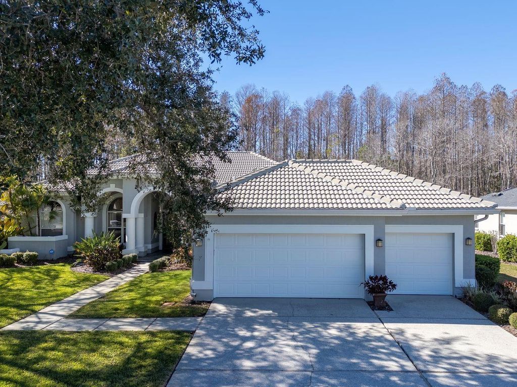 Photo of 18916 Saint Laurent Drive, Lutz, FL 33558 (MLS # TB8465089)