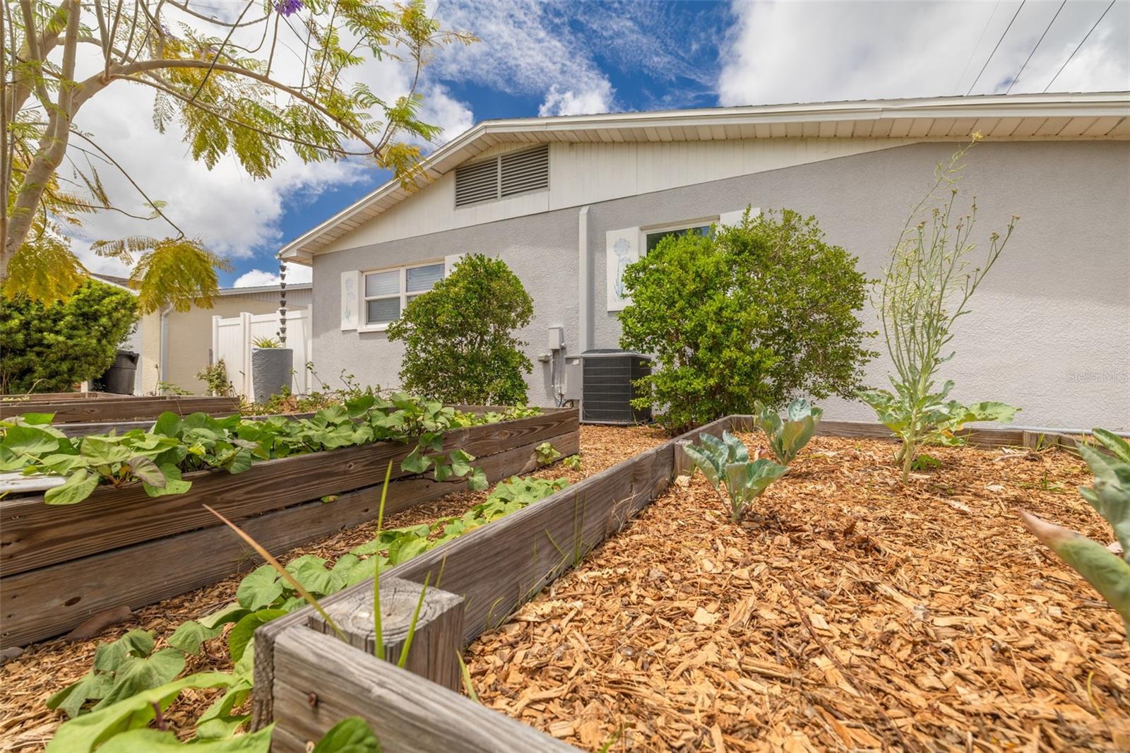 MARCHETTA PARK - Residential
