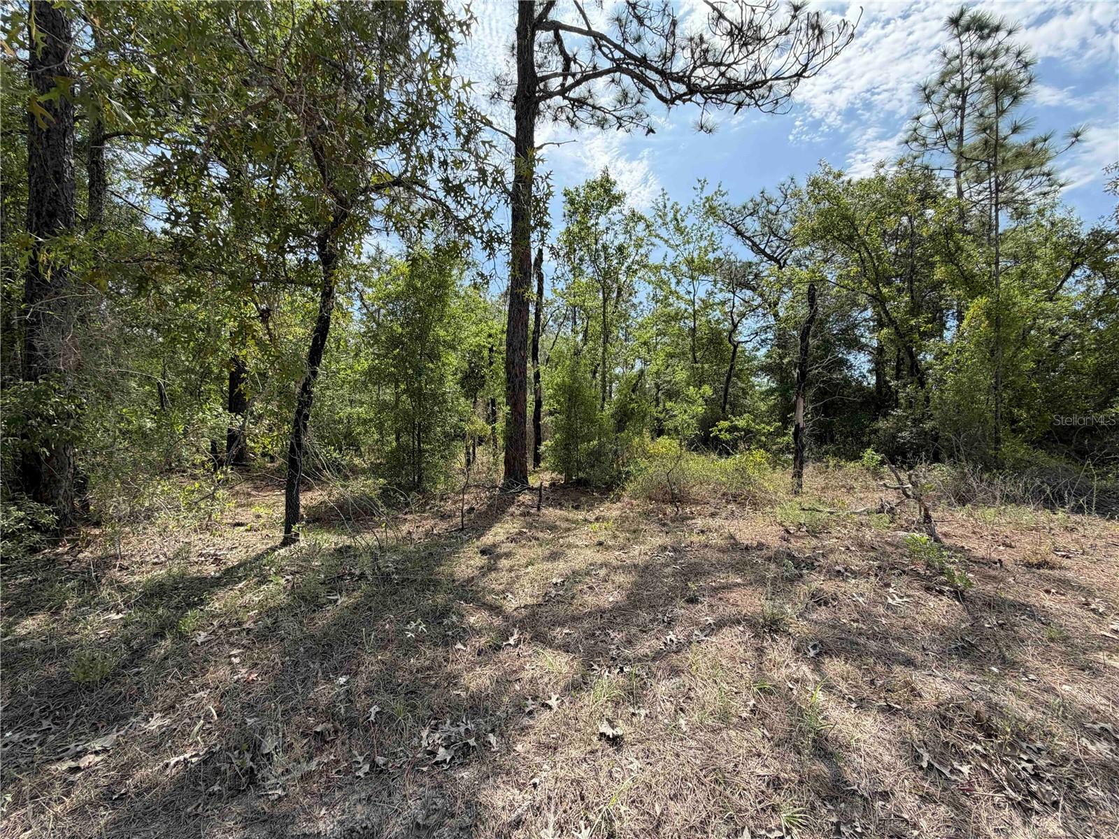 TBD NE 110 AVENUE