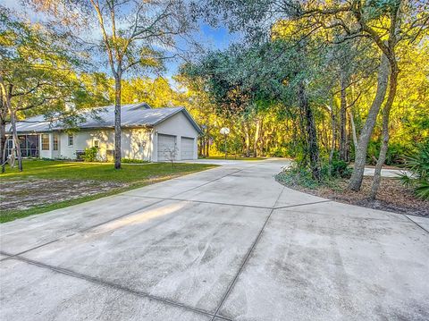 A home in CRYSTAL RIVER