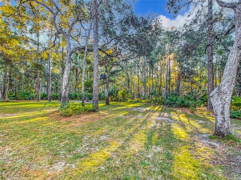 A home in CRYSTAL RIVER