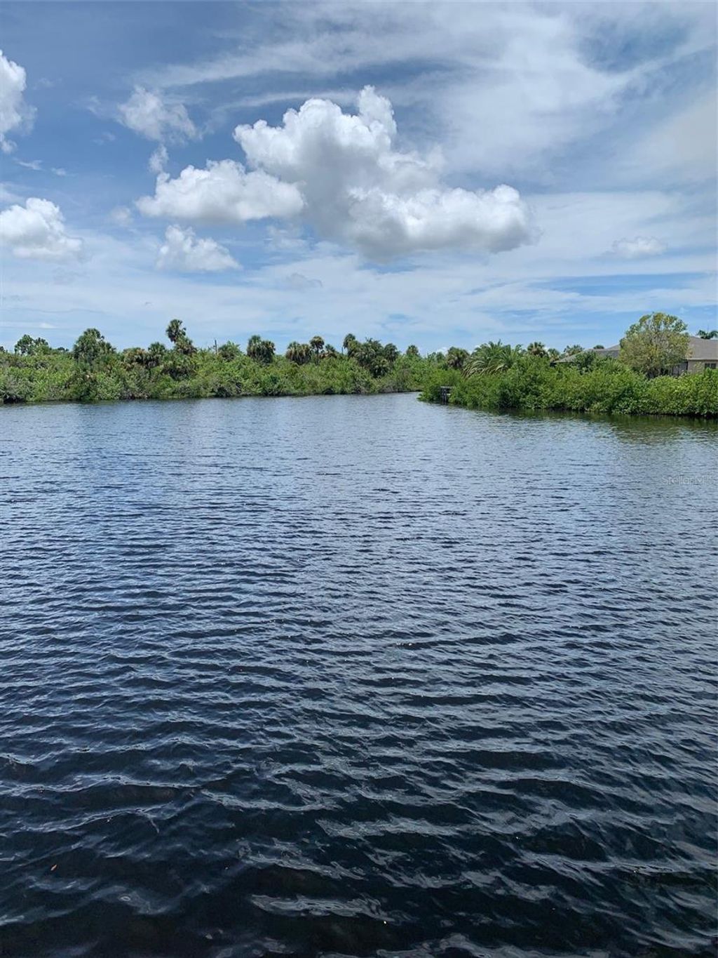 Photo of 2207 Cornelius Boulevard, Port Charlotte, FL 33953 (MLS # A4572384)