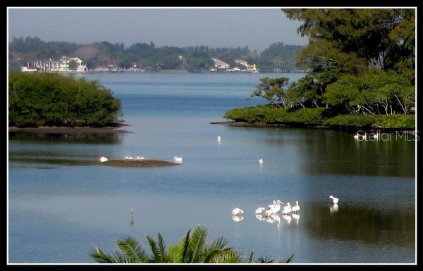 PELICAN COVE XVI - Residential