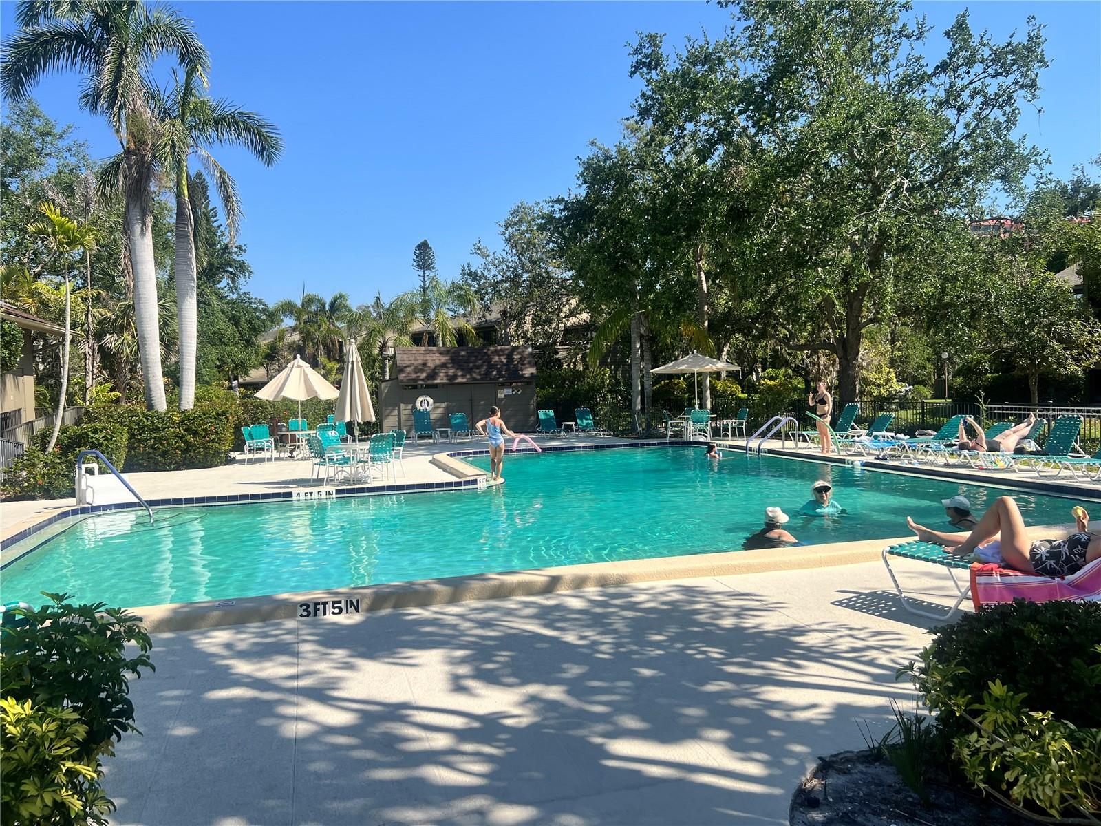 PELICAN COVE XVI - Residential