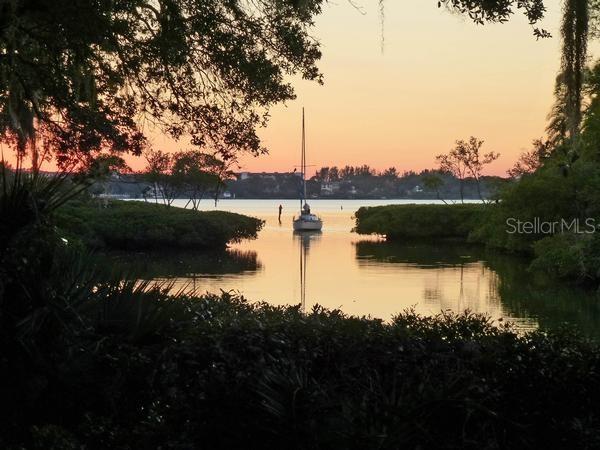 PELICAN COVE XVI - Residential