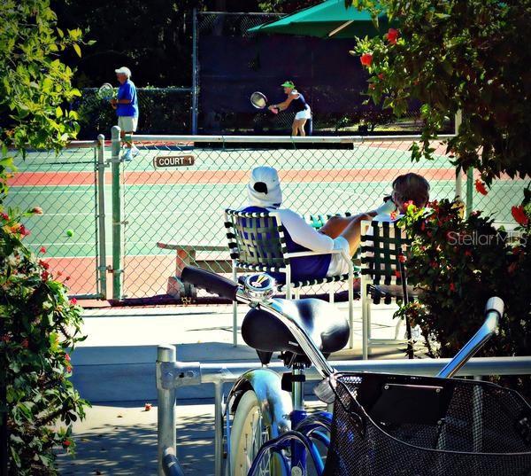 PELICAN COVE XVI - Residential