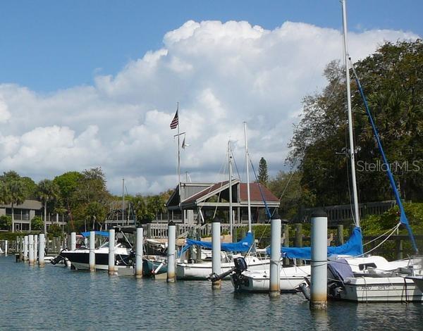 PELICAN COVE XVI - Residential