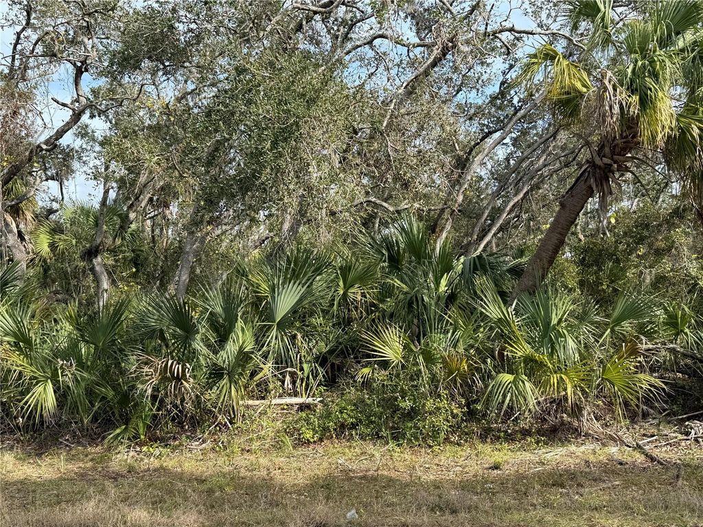 Photo of 2102 Dorion Street, Port Charlotte, FL 33948 (MLS # C7504287)