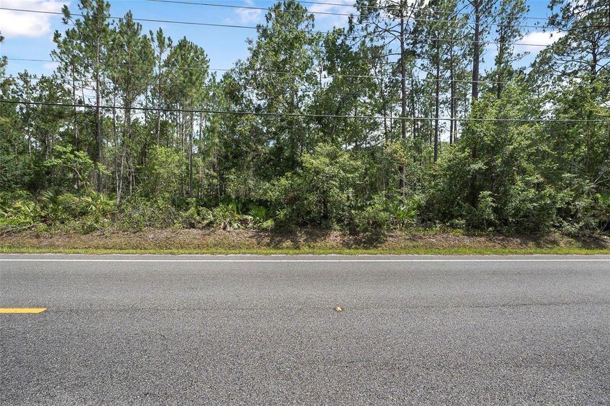 Do you love nature and your privacy but want to be within driving distance to conveniences? This 165'x300' wooded lot is zoned for either a manufactured home or site built home & is the perfect place to build YOUR dream home! This neighborhood is lined with beautiful oaks and palm trees. Farm animals welcome. Enjoy the peace & quiet of country living at just over a 1 acre lot, you can add large sheds, outbuildings, zoned for horses, plant a garden, and have lots of privacy. No restrictions on RV's, work trucks, trailers, or boats. The ideal location for rural, country living w/ convenient access to shops, restaurants, and it is only a 25-minute ride to the beach!. Near Hidden Trails Park w/ basketball courts, fitness track, playground, etc. Nearby boat launches on both Crescent and Dead Lakes, provides access to fishing, hiking, take out the kayak or enjoy a meal at the nearby Bull Creek Fish Camp. Your dream starts here!