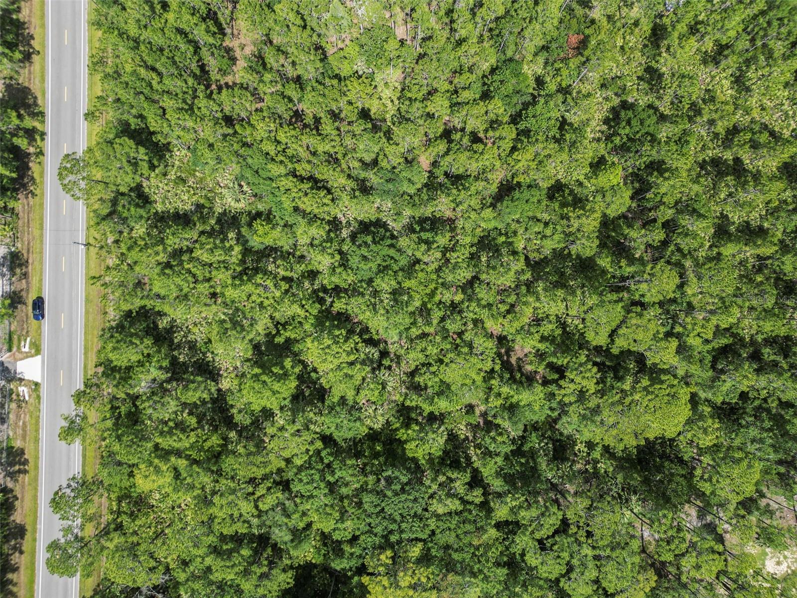 DAYTONA NORTH - Land