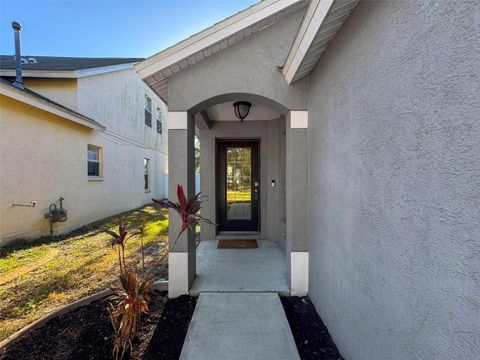 A home in RIVERVIEW