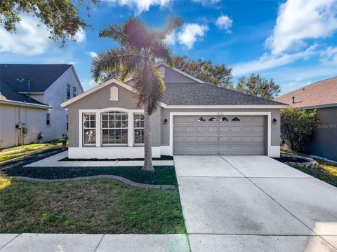 A home in RIVERVIEW