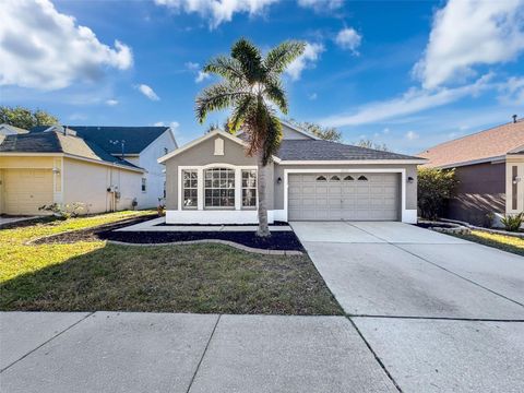 A home in RIVERVIEW