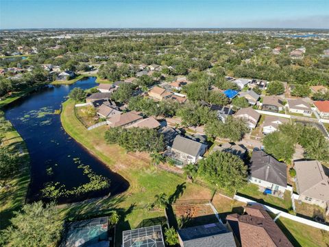 A home in RIVERVIEW