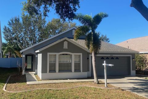 A home in RIVERVIEW