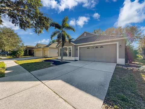 A home in RIVERVIEW