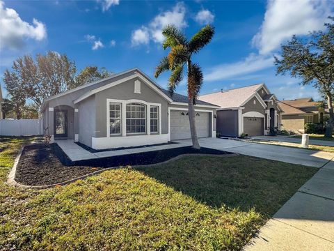 A home in RIVERVIEW