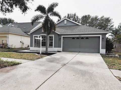 A home in RIVERVIEW