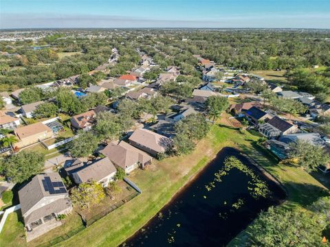 A home in RIVERVIEW