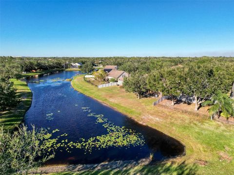 A home in RIVERVIEW