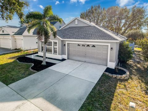 A home in RIVERVIEW