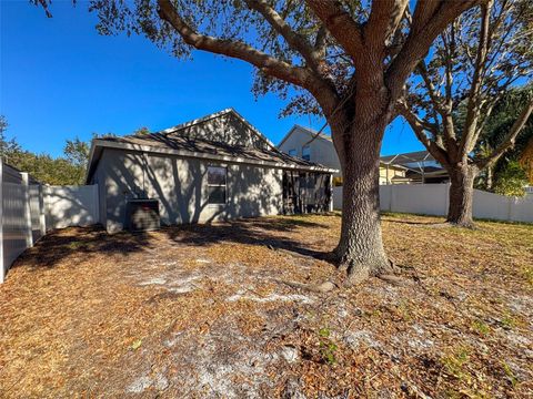 A home in RIVERVIEW