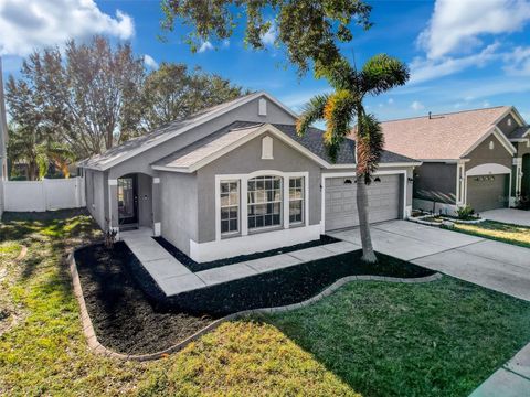 A home in RIVERVIEW