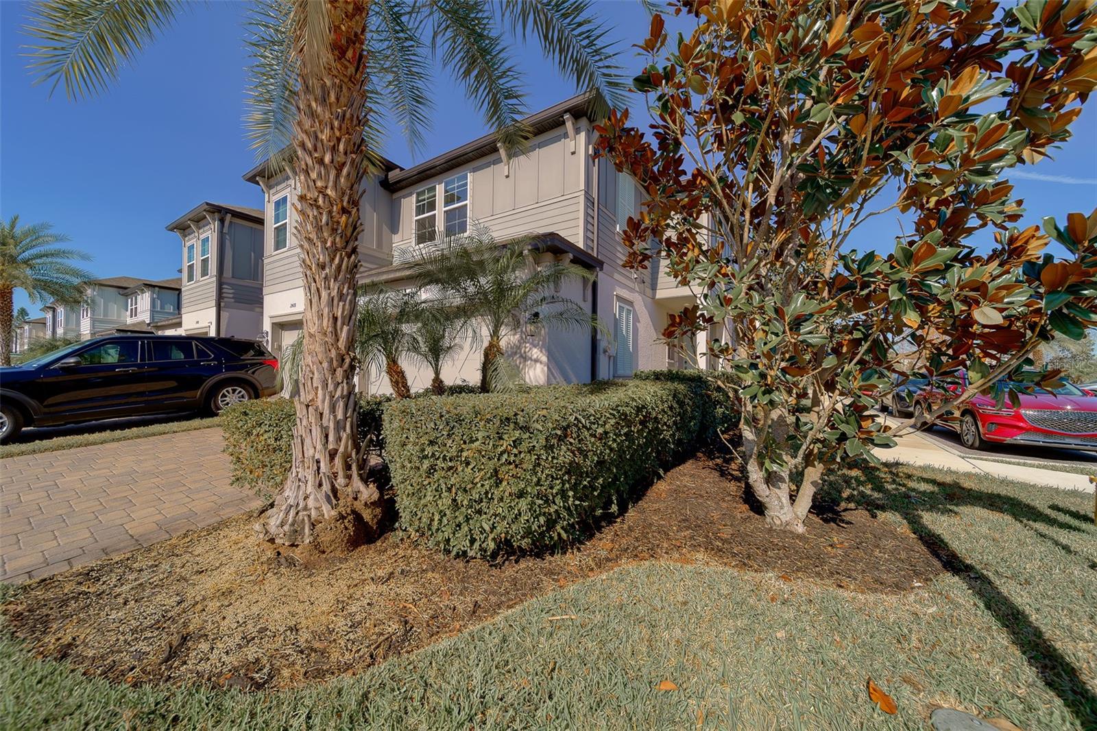 TOWNS AT BELLEAIR GROVE - Residential