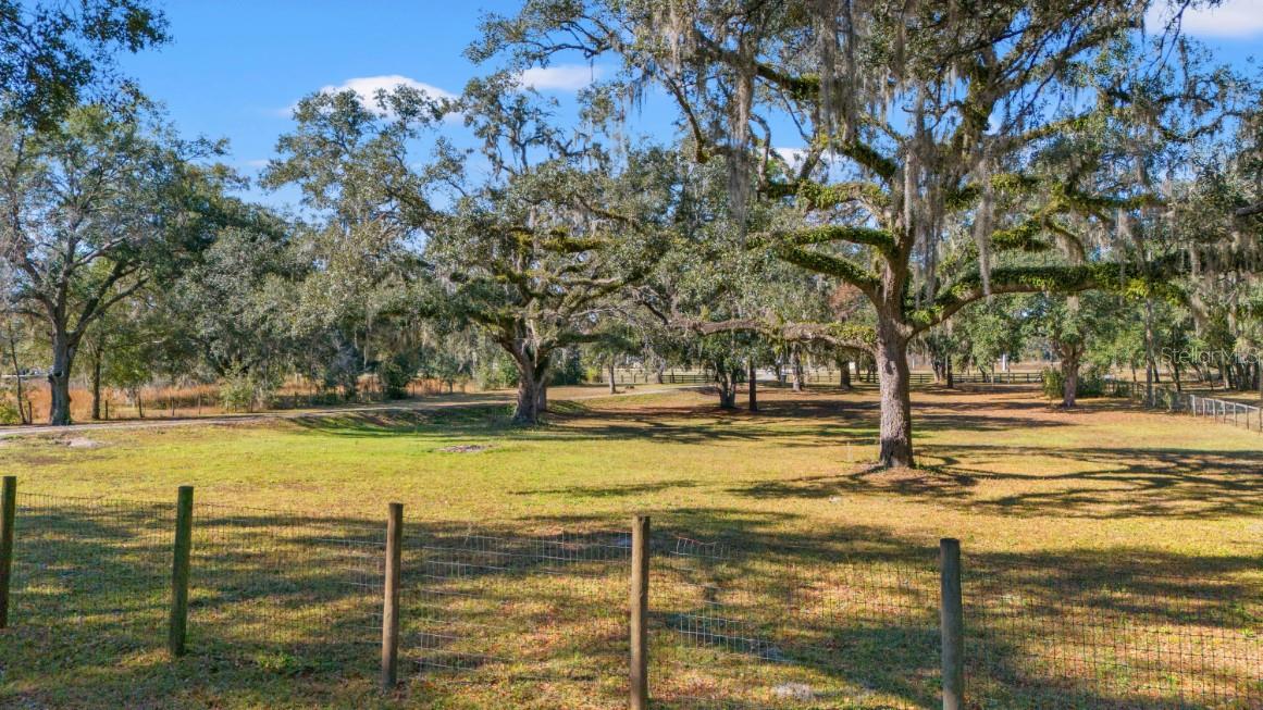 ACREAGE - Residential