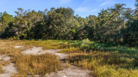 Tiny photo for 23158 Loop Road, Groveland, FL 34736 (MLS # G5113172)
