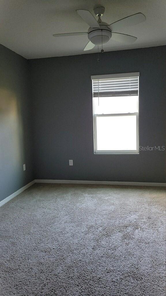 361 NOWELL LOOP