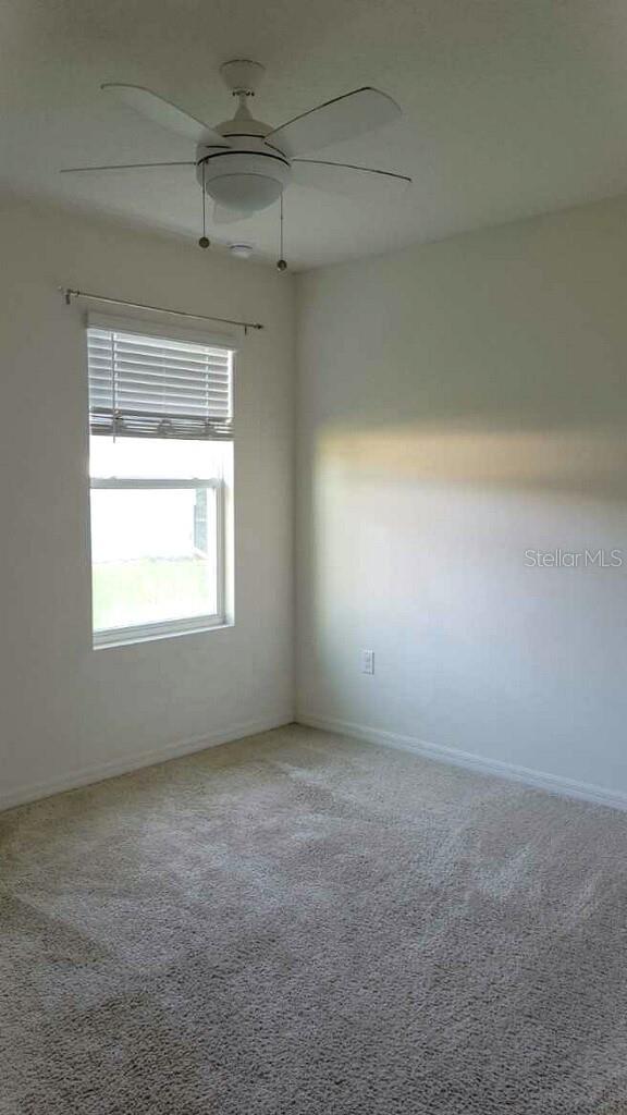361 NOWELL LOOP