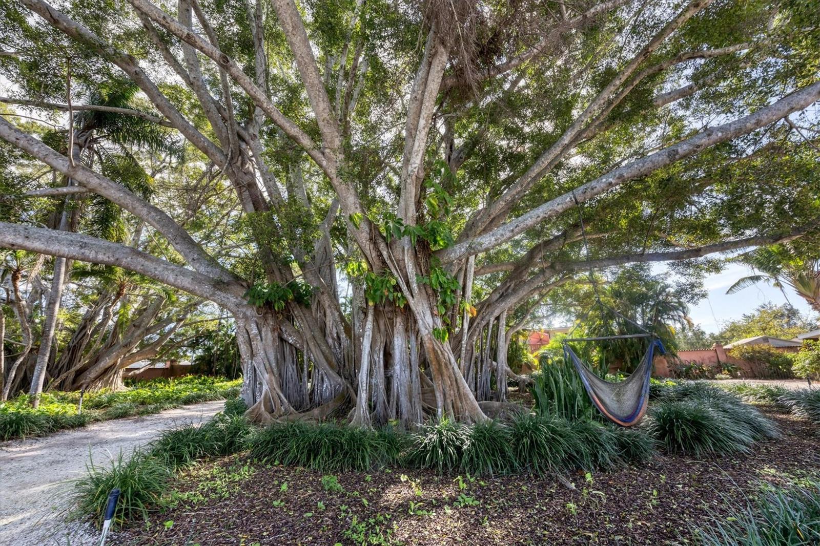 NOKOMIS - Residential