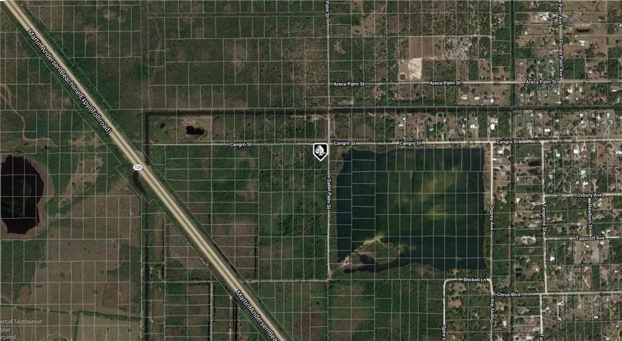 nice area, nearby a lake, oversized vacant land, dirt road, agent has many nearby lands, as-is, buyer is due diligence, is priced accordingly