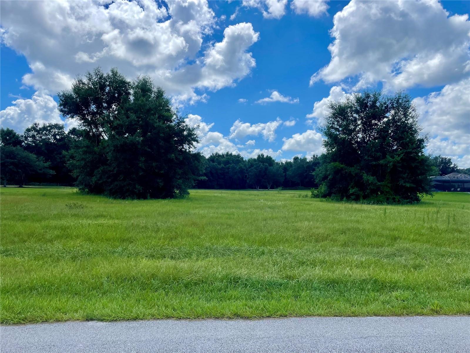 GREAT BLUE HERON ESTATES - Land