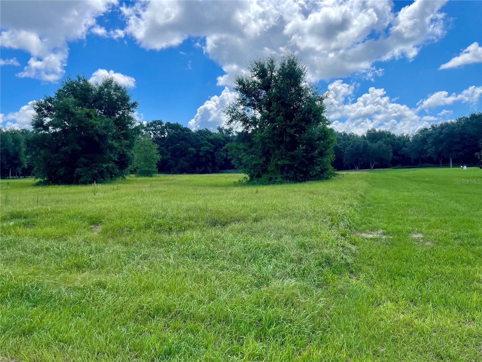 GREAT BLUE HERON ESTATES - Land