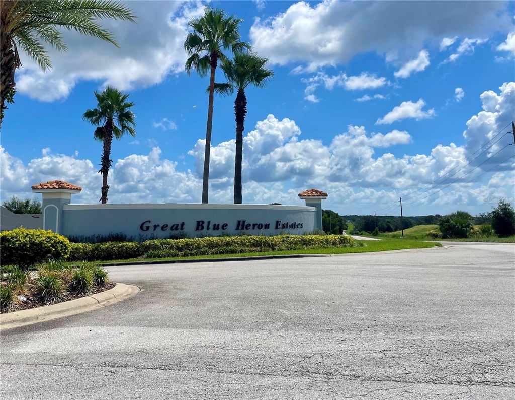 Photo of 18340 Great Blue Heron Drive, Groveland, FL 34736 (MLS # O6379087)