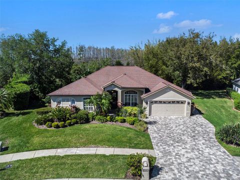 6211 NIMES COURT LUTZ FL 33558
