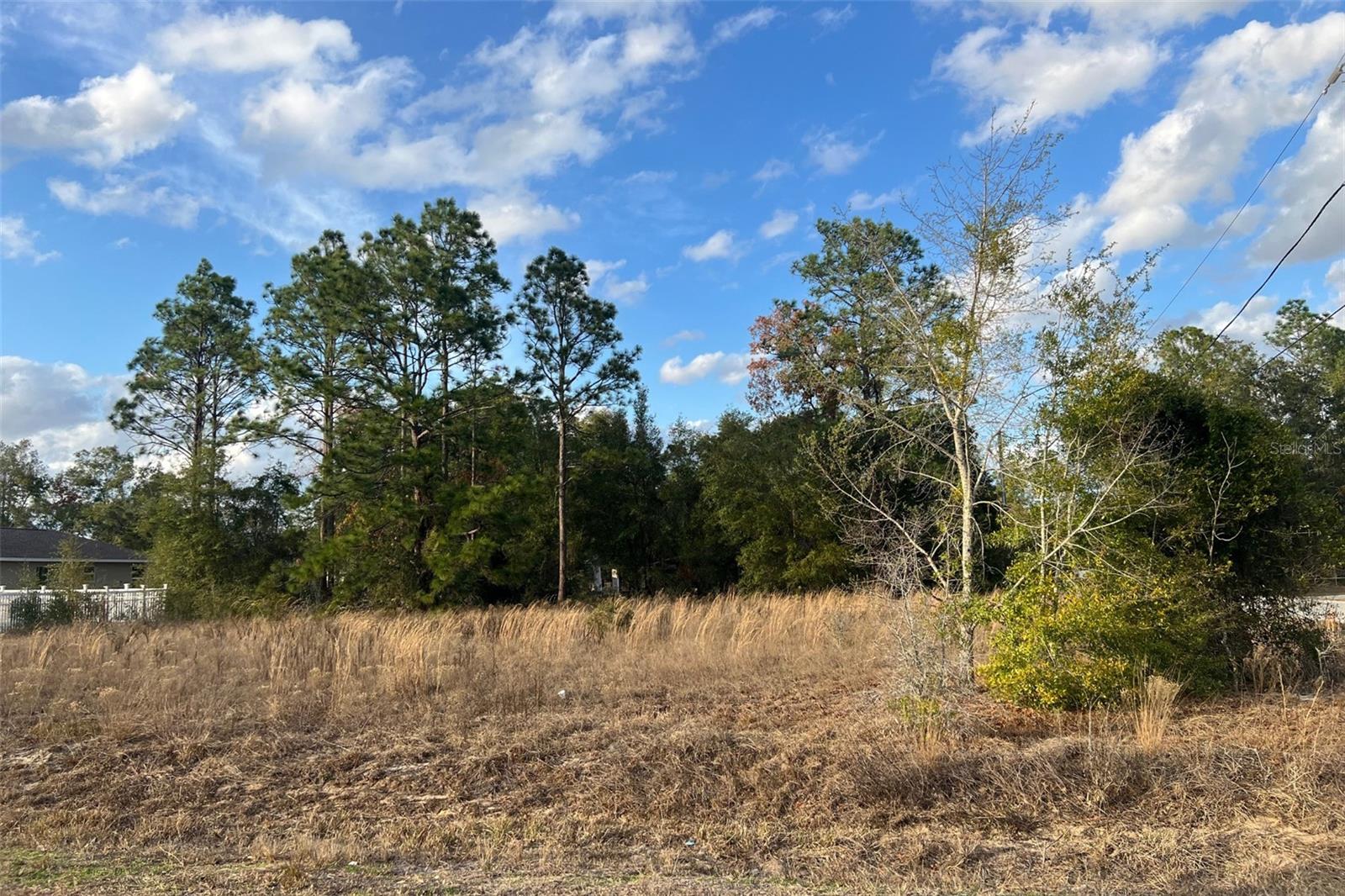 ORANGE BLOSSOM HILLS UN 06 - Land