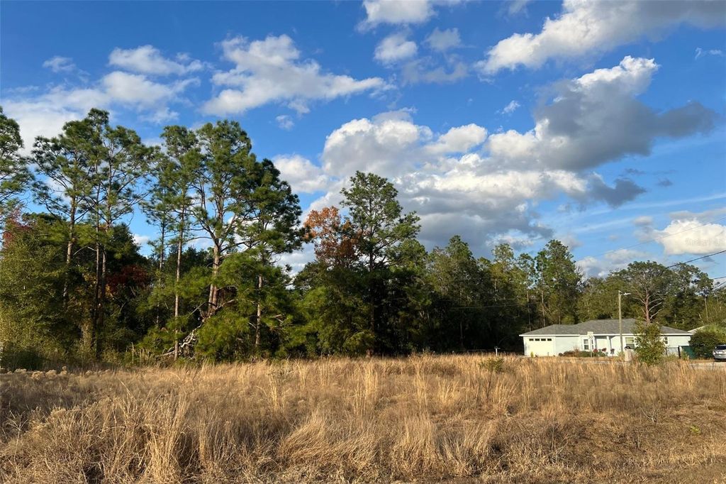 Photo of 0 SE 159th St, Summerfield, FL 34491 (MLS # O6377052)