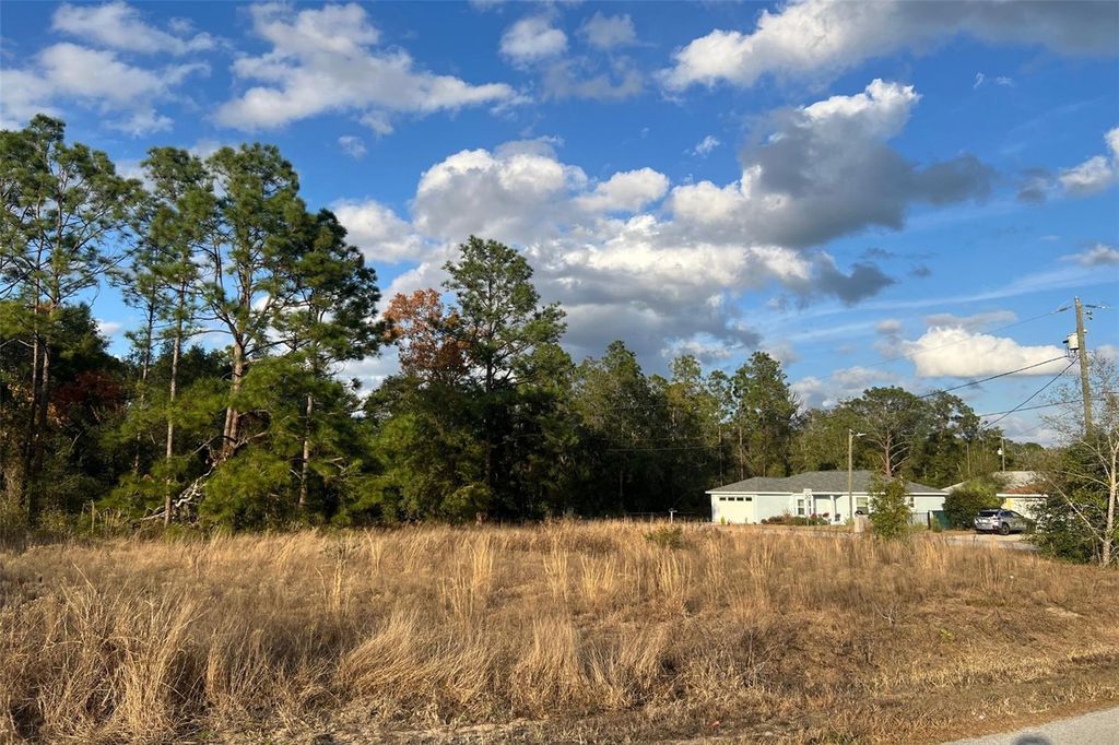 Photo of 0 SE 159th St, Summerfield, FL 34491 (MLS # O6377052)