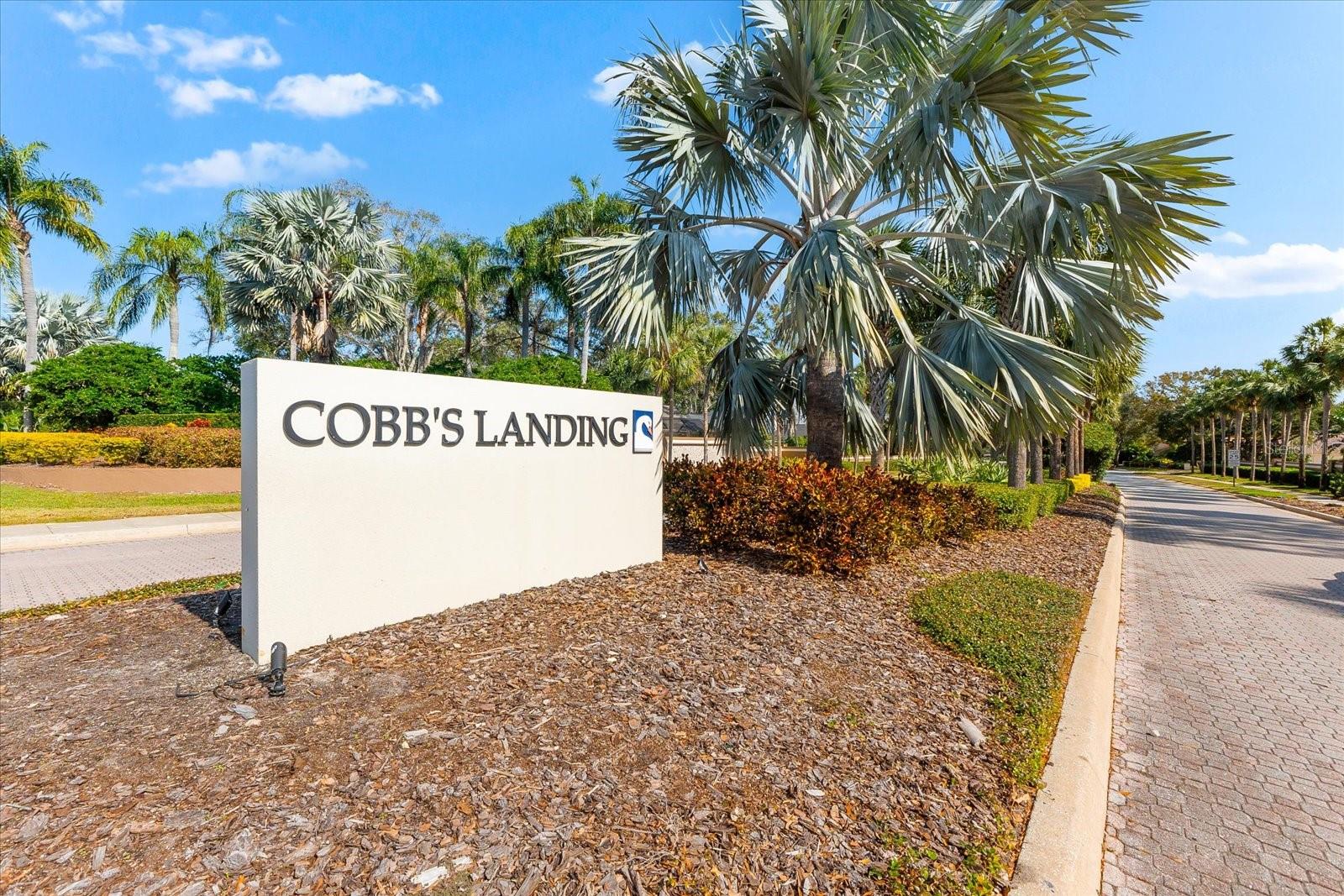 ESTATES AT COBBS LANDING THE PH 1 - Residential