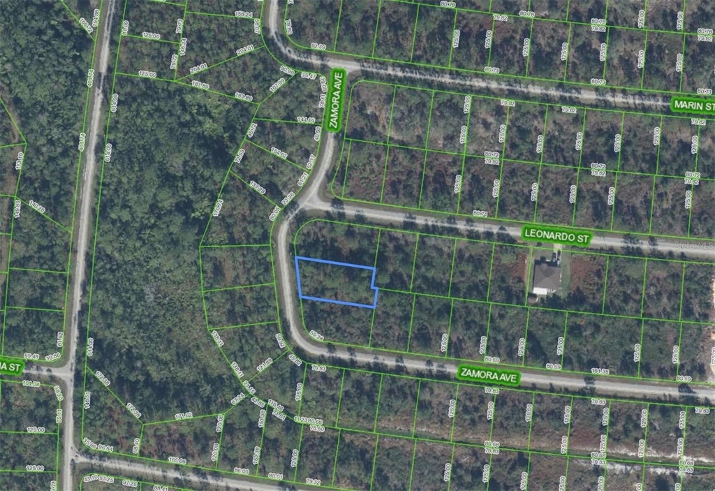 Photo of 8114 Zamora Avenue, Sebring, FL 33872 (MLS # O6441833)