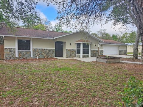 Photo of 18232 Monteverde Drive, Spring Hill, FL 34610 (MLS # W7874544)