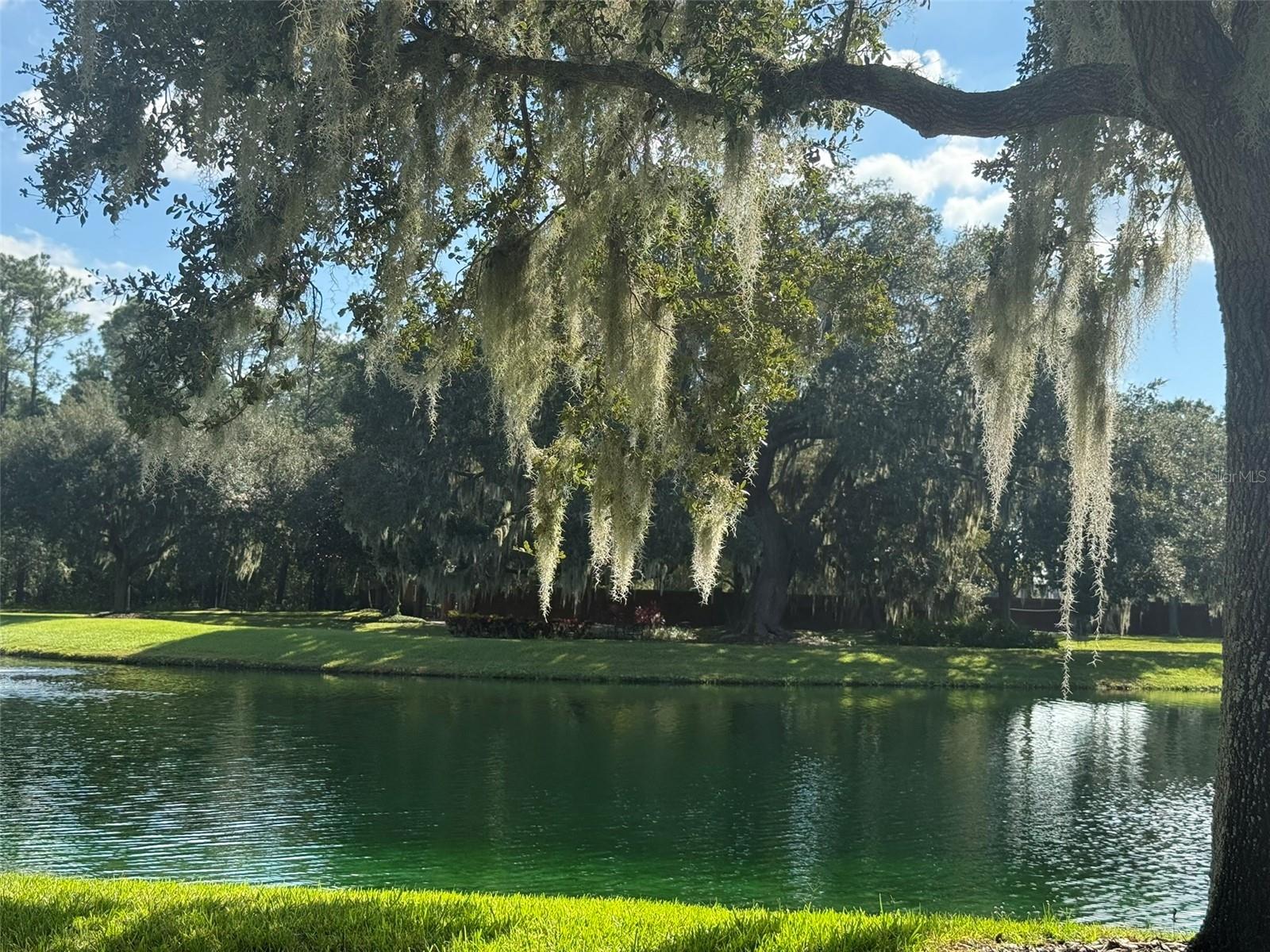 LAKE SHEEN RESERVE PH 01 48 43 - Residential