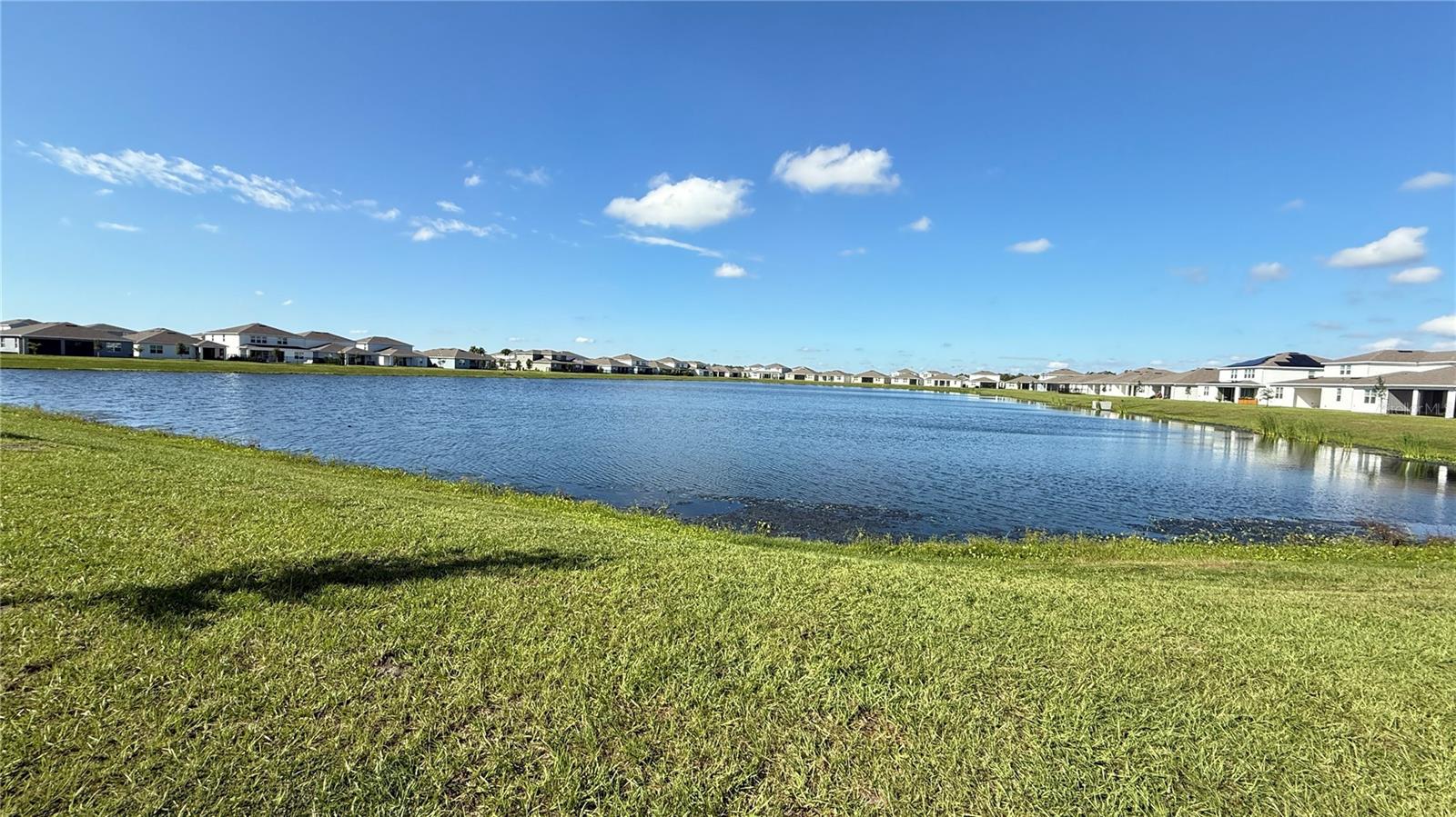AMELIA GROVES PH 2 - Residential Lease