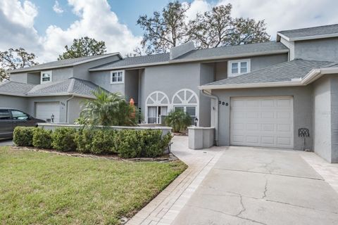 388 BUCKINGHAM PLACE PALM HARBOR FL 34684